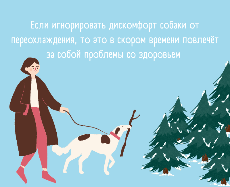 Как выгуливать собаку зимой? - 5 шаг