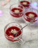 Кедровая панна-котта из сливок на желатине с малиновым конфи - изображение поста